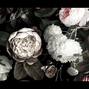 Meet your Posher, Denise